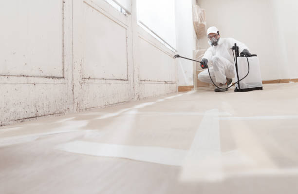 24/7 Emergency Crawl Space Mold Remediation experts in Roebling, NJ