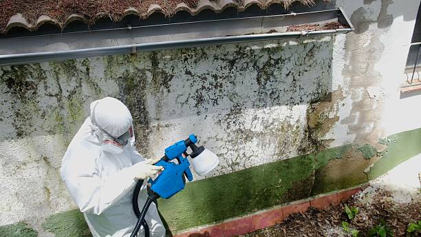 Top rated local Crawl Space Mold Remediation specialists in Roebling, NJ